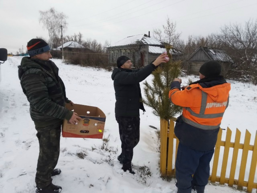 Наши ёлочки уже готовы к встрече Нового года